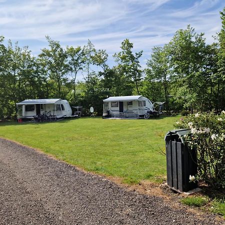 Camping Alkenhaer Appelscha Lege Kampeerplaats Εξωτερικό φωτογραφία